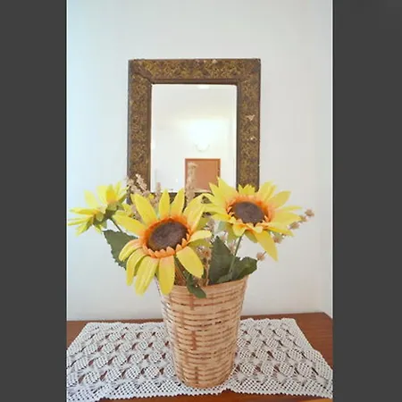 Apartman Villa Povlja